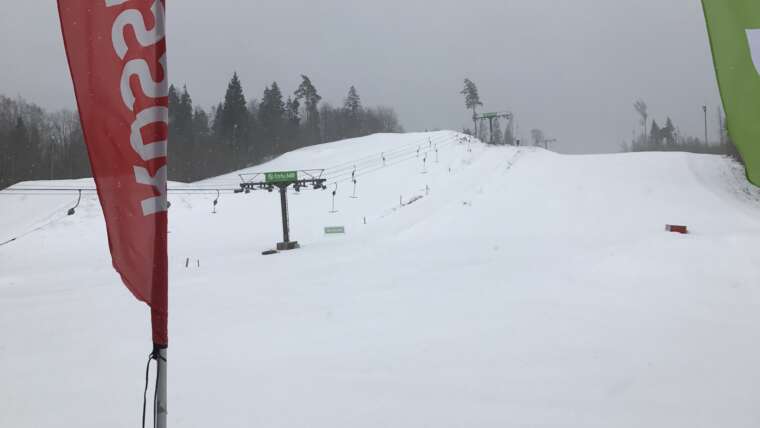 GROOMER’S TIP – LUMEINFO 26.02 – LUMESADU!