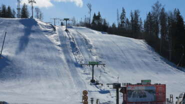 GROOMER’S TIP – LUMEINFO 11.03