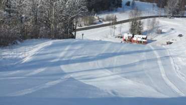 GROOMER’S TIP 7.12.18 – OLUD ON STABIILSED, ROHKEM NÕLVU AVATUD NÄDALAVAHETUSEL!