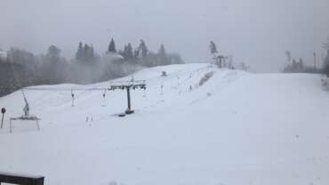 Groomer’s Tip – Lumeinfo 23.01.