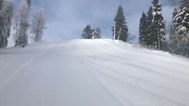 GROOMER’S TIP – LUMEINFO NV-KS!