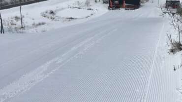 GROOMER’S TIP – LUMEINFO NV-KS!