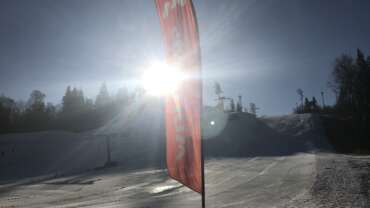 GROOMER’S TIP – LUMEINFO 07.04.(!)