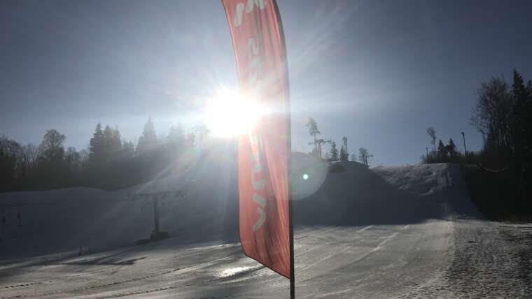 GROOMER’S TIP – LUMEINFO 07.04.(!)