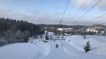 GROOMER’S TIP 26.01 – PALJU LUND JA VÄGA HEAD TINGIMUSED!