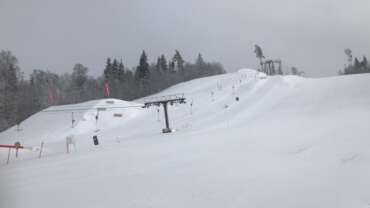 GROOMER’S TIP – LUMEINFO 13.02