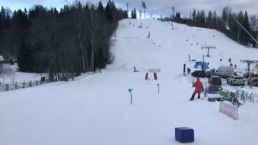 GROOMER’S TIP 8.02 – LISANDUNUD ON ROHKEM KUI 15cm VÄRSKET LUND!