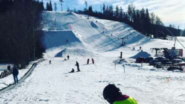 GROOMER’S TIP 21.02 – GOOD CONDITIONS & MINUS DEGREES AGAIN!