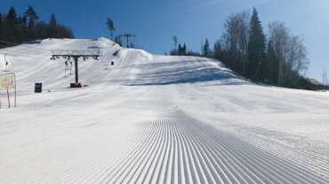 GROOMER’S TIP 8.MÄRTS – OLUD ON HEAD, KÕIK NÕLVAD ON AVATUD!