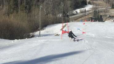 GROOMER’S TIP – LUMEINFO 24.03-VIIMASED 3 PÄEVA