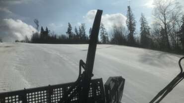 GROOMER’S TIP – LUMEINFO 06.03 – VIIMASEID PÄEVI?