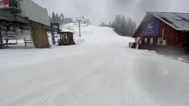 GROOMER’S TIP – LUMEINFO NV-KS