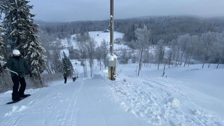 GROOMER’S TIP -KÕIK NÕLVAD AVATUD!