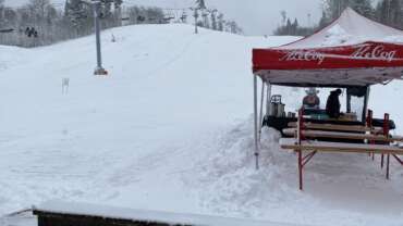 GROOMER’S TIP – 2021 ESIMENE LUMEINFO!