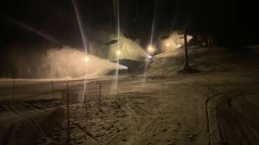 PAKANE ON SUUSATAJA PARIM SÕBER – TAVAHINNAD ON TAGASI!