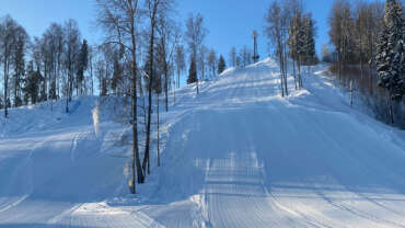 GROOMER’S TIP – UUS PARK, UUS SPORTNÕLV!