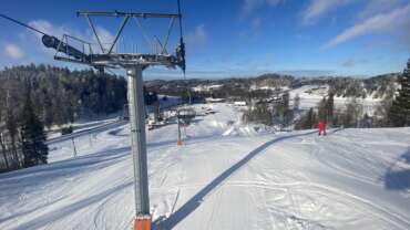 GROOMER’S TIP – LUMEINFO ESIMESEL VEEBRUARIL