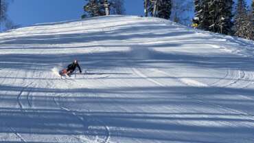 GROOMER’S TIP – LUME JA RAJAINFO NÄDALAVAHETUSEKS