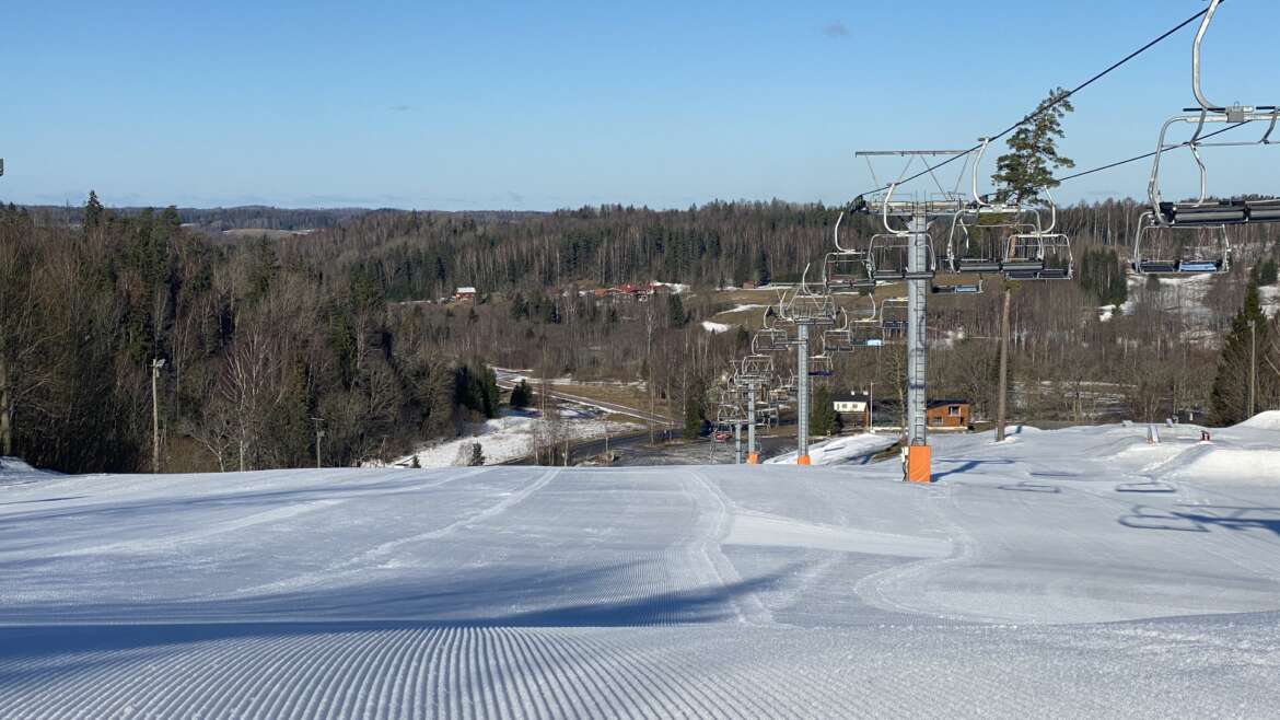 GROOMER’S TIP – LUMEINFO 02. MÄRTS: LUMI & PÄIKE