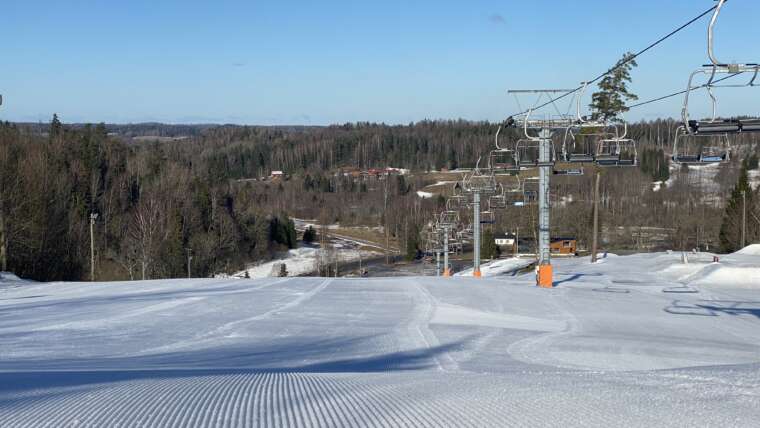 GROOMER’S TIP – LUMEINFO 02. MÄRTS: LUMI & PÄIKE