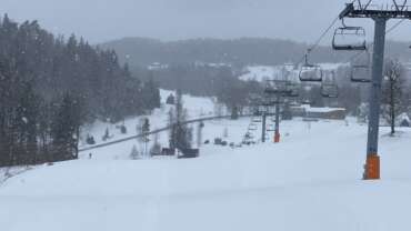 GROOMER’S TIP – LUMEINFO: KEVAD SAABUS LUMESAJUGA!