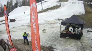 GROOMER’S TIP – HOOAJA VIIMANE LUMEINFO!