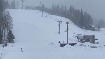 Groomer’s Tip – lume ja üldinfo lähinädalateks