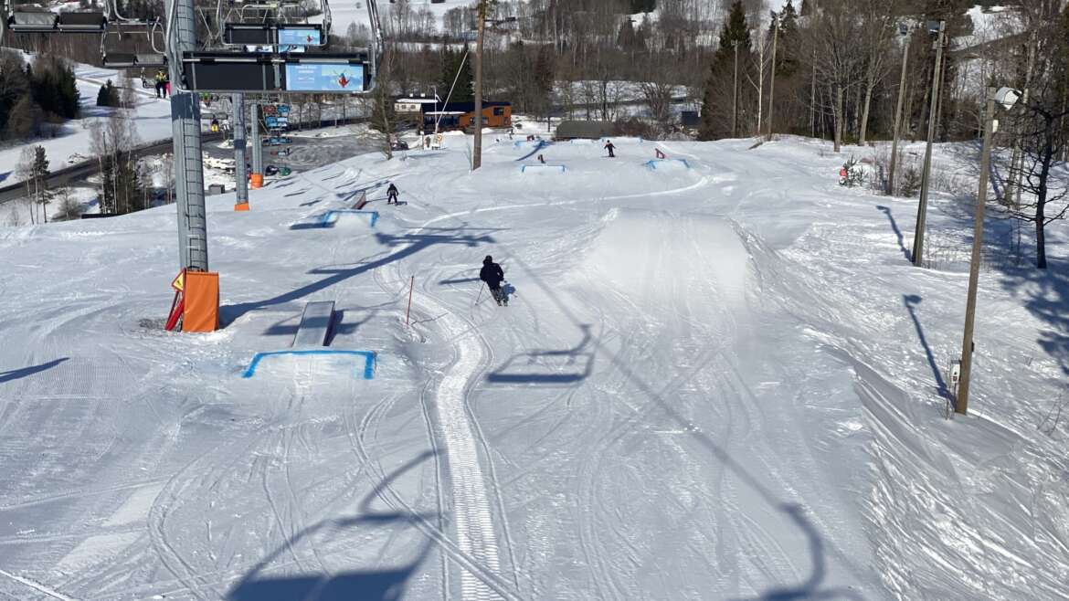 GROOMER’S TIP 13.03 – PAREM KUI AUSTRIAS!