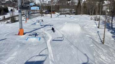 GROOMER’S TIP 13.03 – PAREM KUI AUSTRIAS!